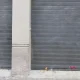 Persianas Ademuz (Valencia) Instalación Reparación y Motorización Cual es la nueva ley para persianas de local en Barcelona 80x80 - Persianas Ademuz (Valencia) Instalación Reparación y Motorización